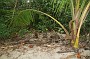 P_2007-12-21 16-05-22_1277
